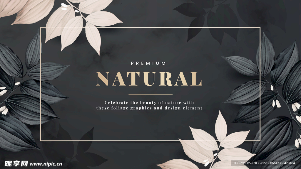 天然框架装饰着粉红色的叶子矢量