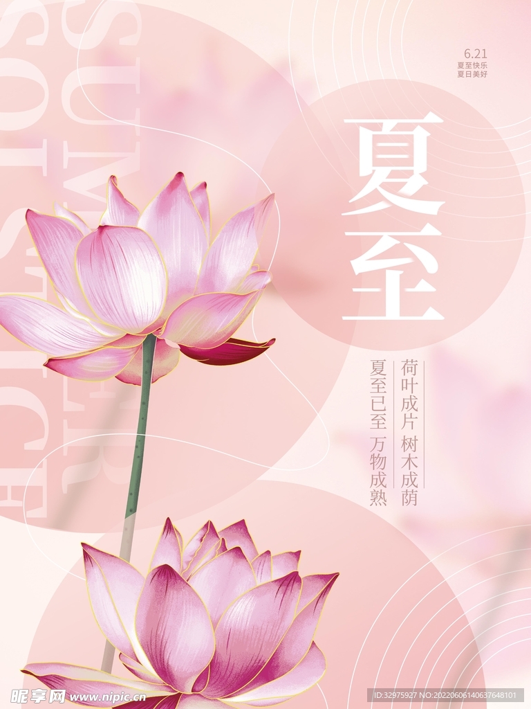 夏至二十四节气海报