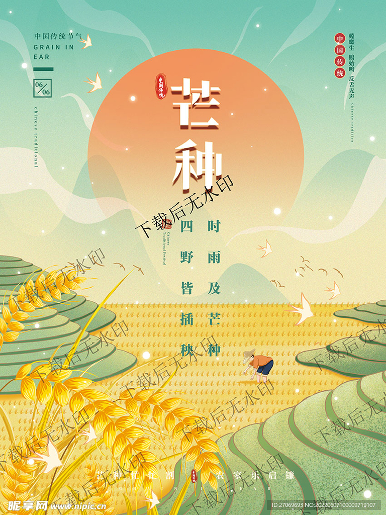 简约风二十四节气芒种节气海报