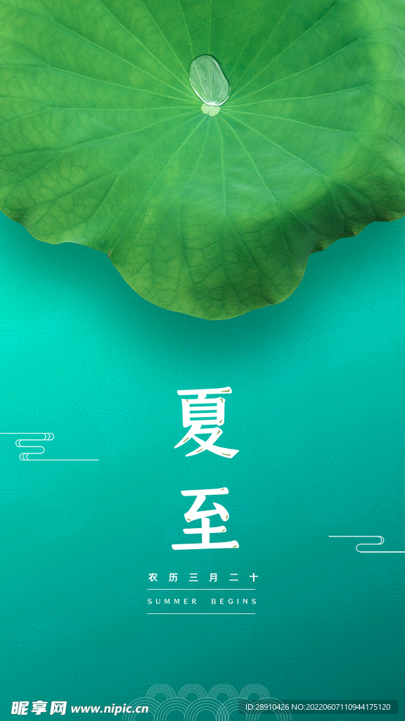 夏至节日节气海报