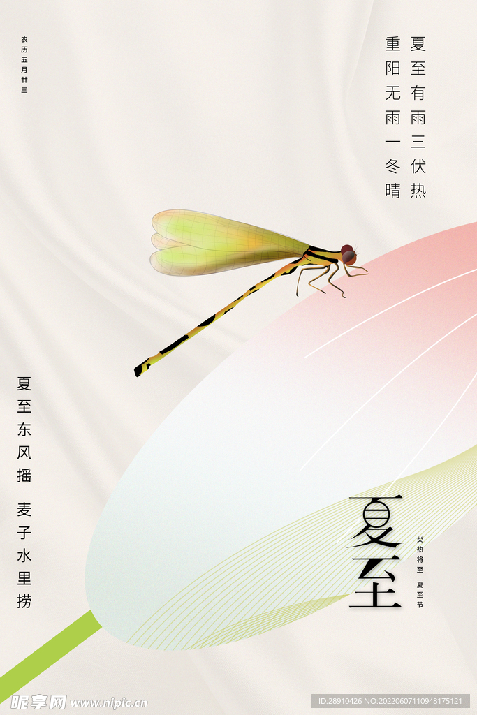 夏至节日节气海报