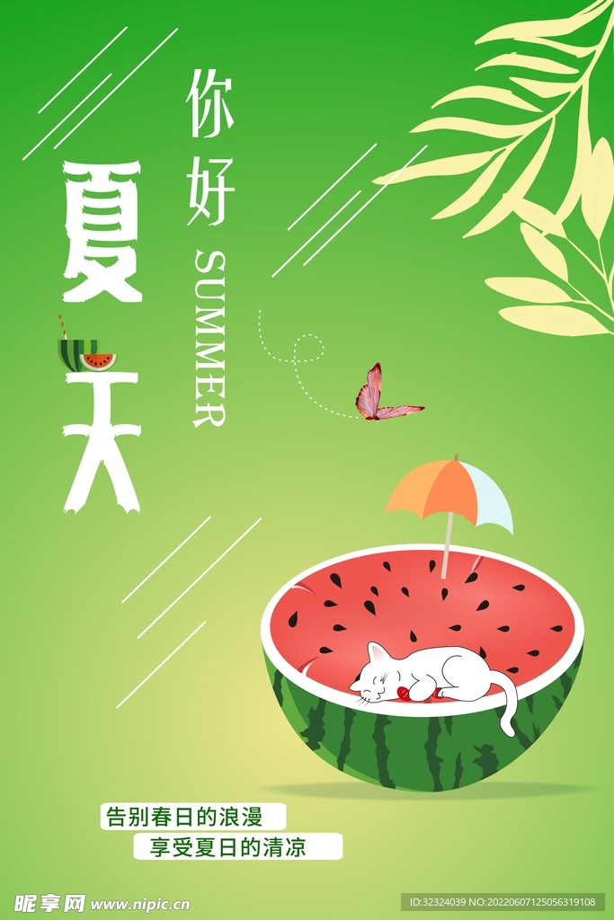 夏天 你好
