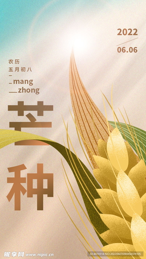 简约芒种小满弥散光毛玻璃节气 