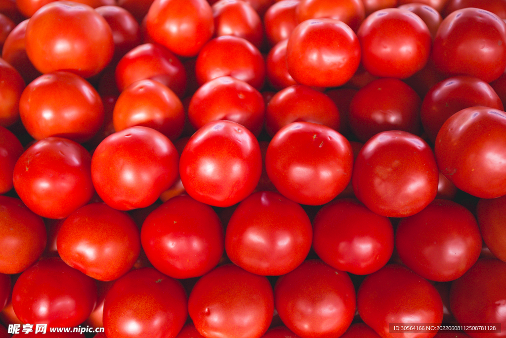 新鲜圣女果水果