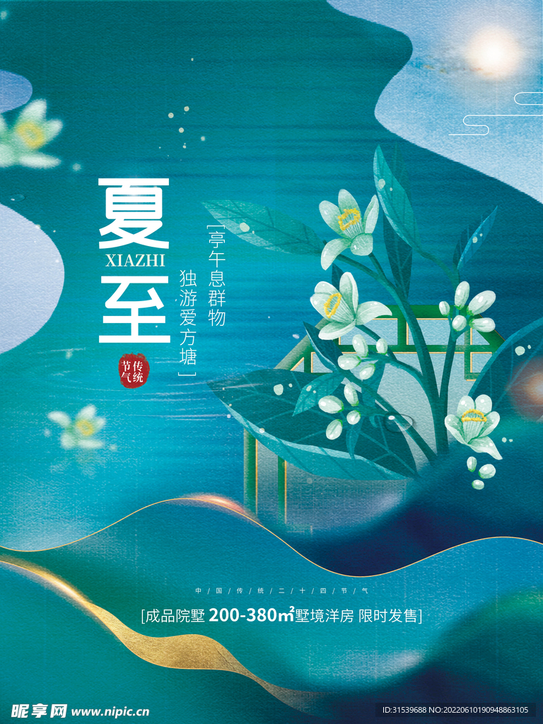 夏至二十四节气海报