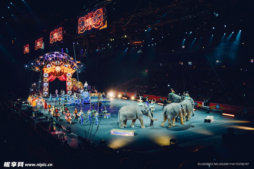 马戏团表演场景