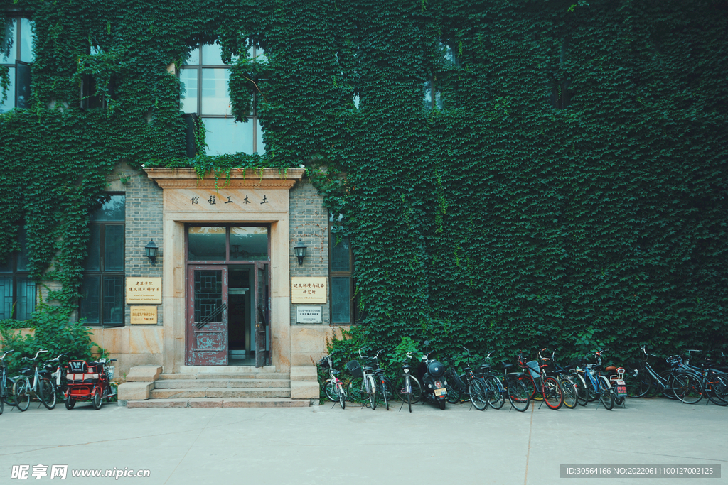 户外绿色爬山虎复古大门