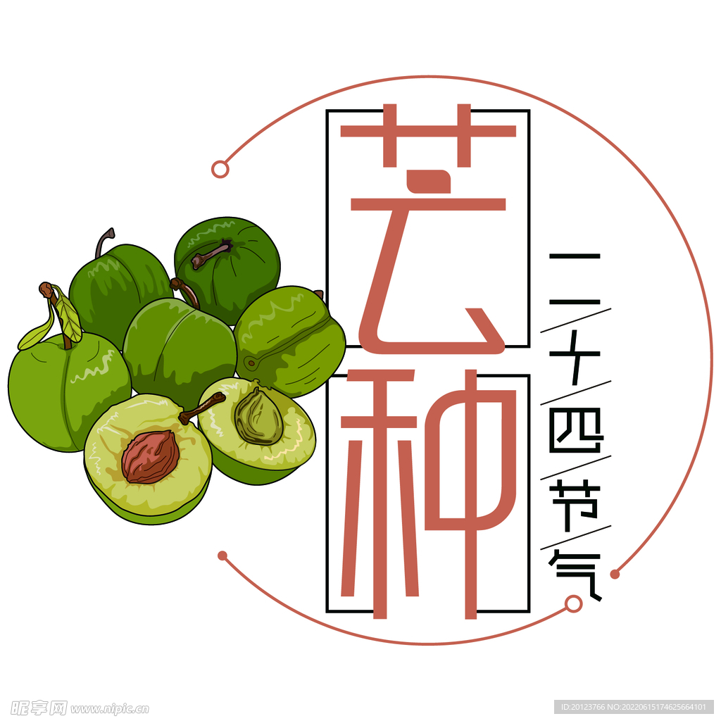 二十四节气芒种