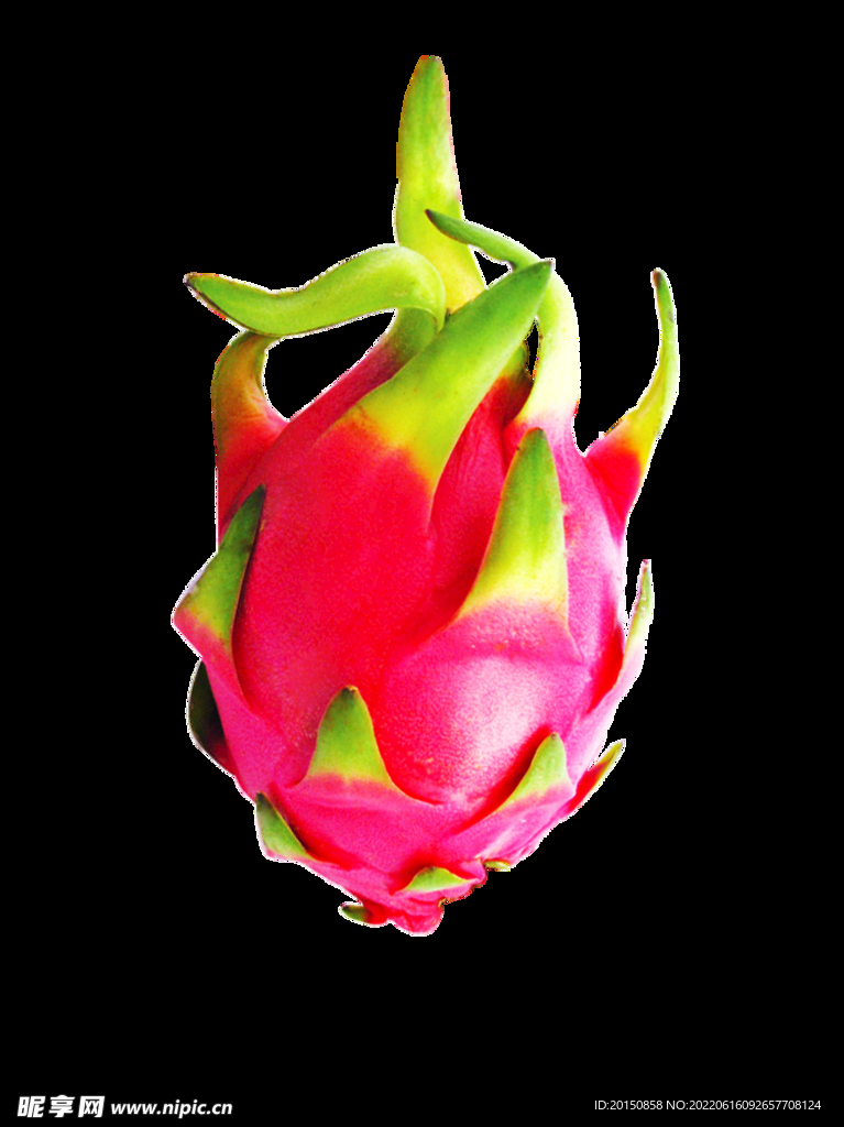 火龙果水果图片