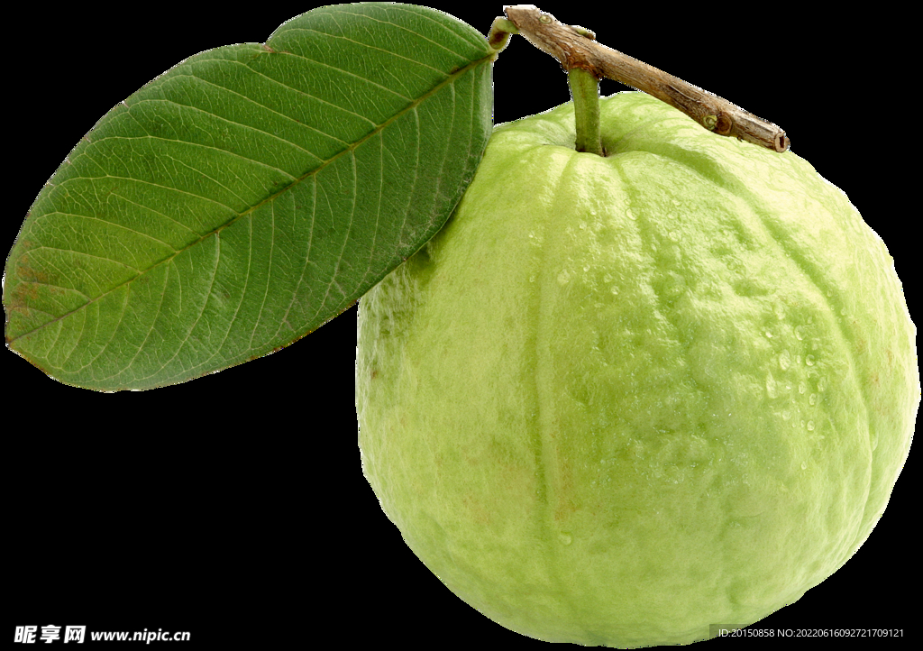 番石榴水果图片