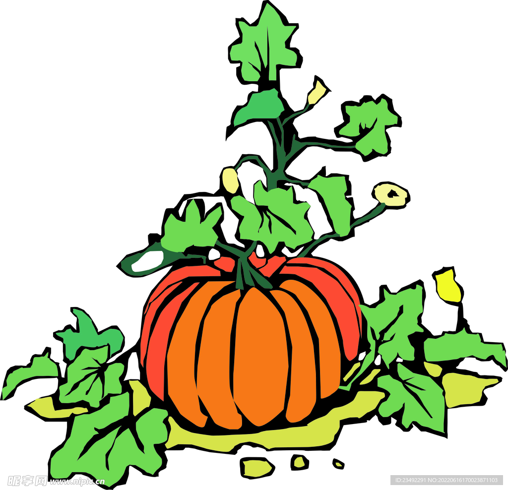 卡通南瓜