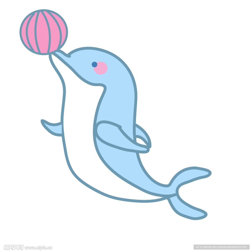 玩球的海豚