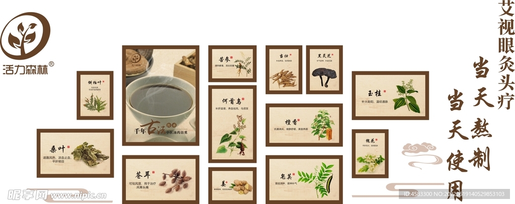 活力森林背景图