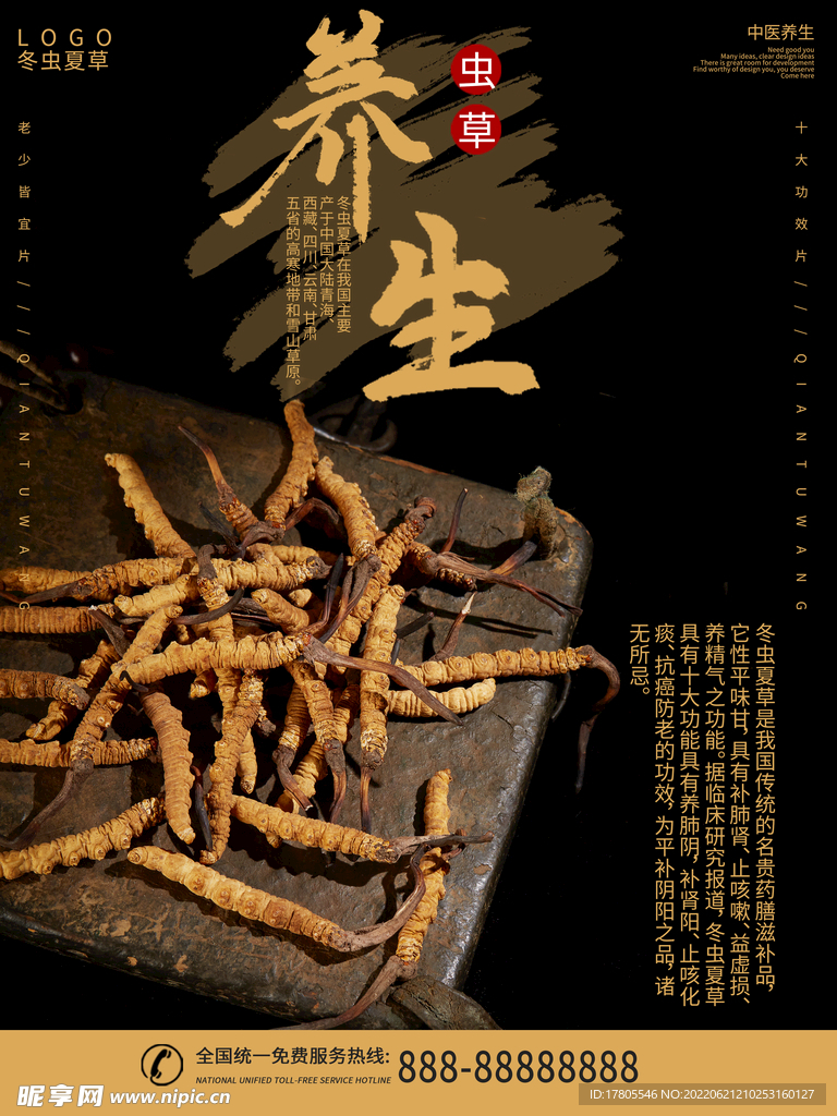 养生之道 山水墨国风 中医中药