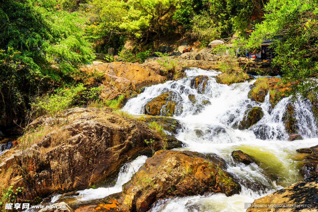 瀑布 溪水 流水 森林 小溪 