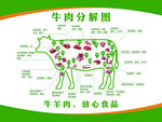牛肉分割图