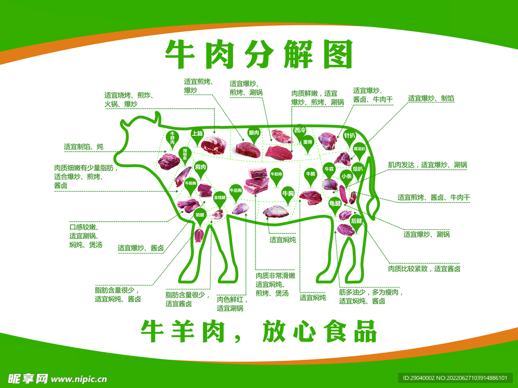 牛肉分割图