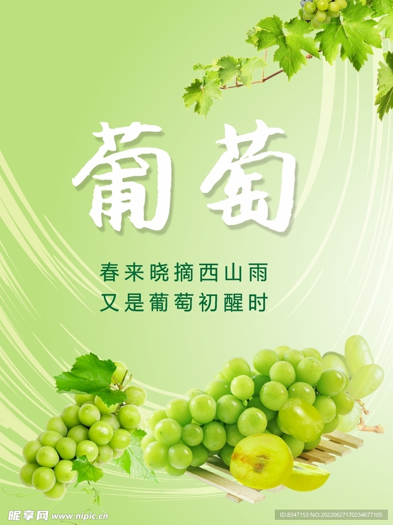 葡萄海报