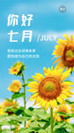 七月你好