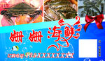 姗姗海鲜名片