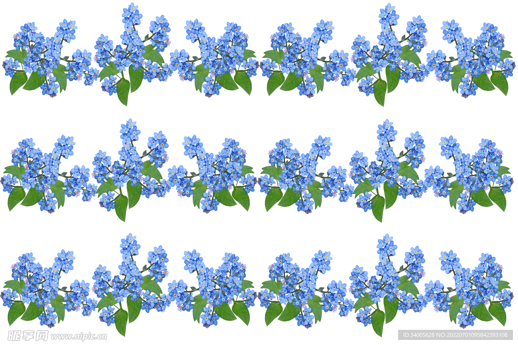 蓝色小花绿色叶子