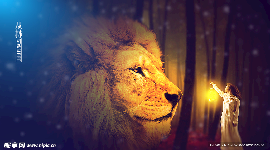 狮子与女孩海报