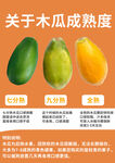 木瓜成熟度