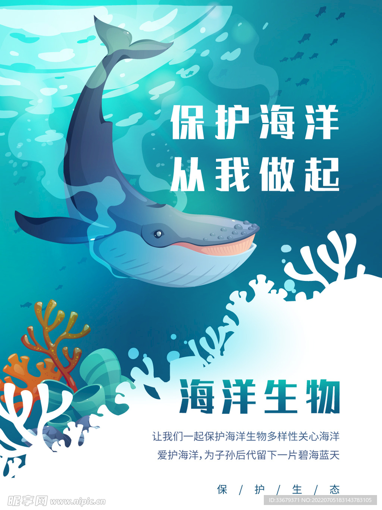 海洋生物