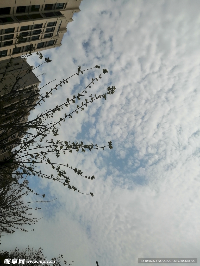 晴空 天晴 蓝天 白云 天空 