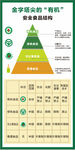 安全食品结构  金字塔  有机