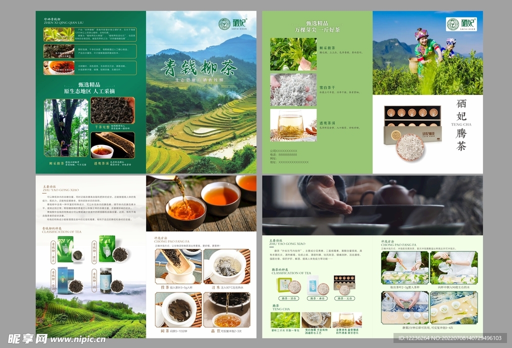 茶 折页