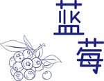 原创手绘蓝莓线稿