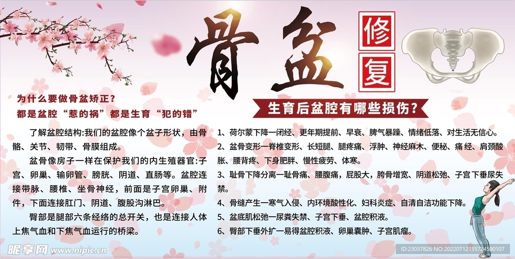 骨盆修复 产后 养生 图片