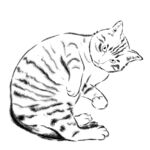 极简黑白水墨趣味插图