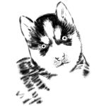 水墨风二哈手绘