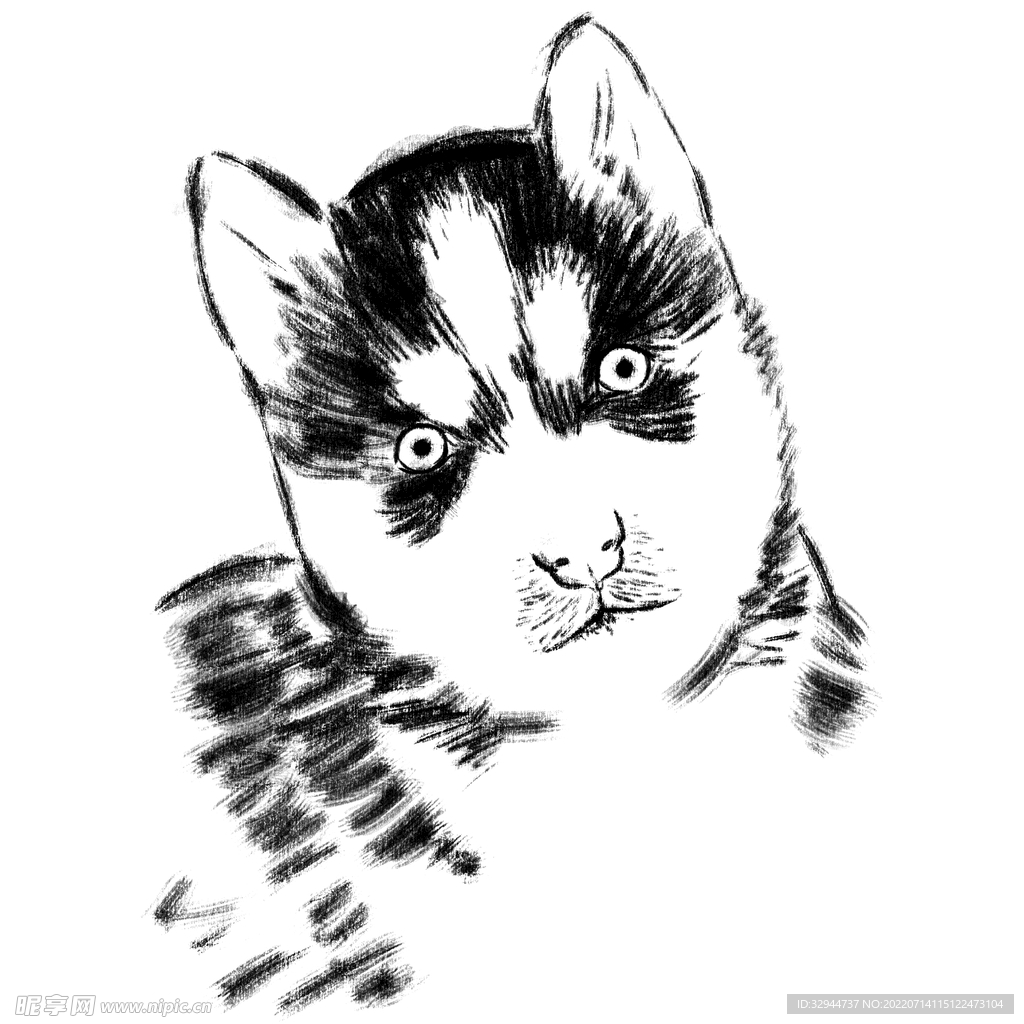 水墨风二哈手绘