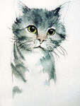 水彩手绘狸花猫