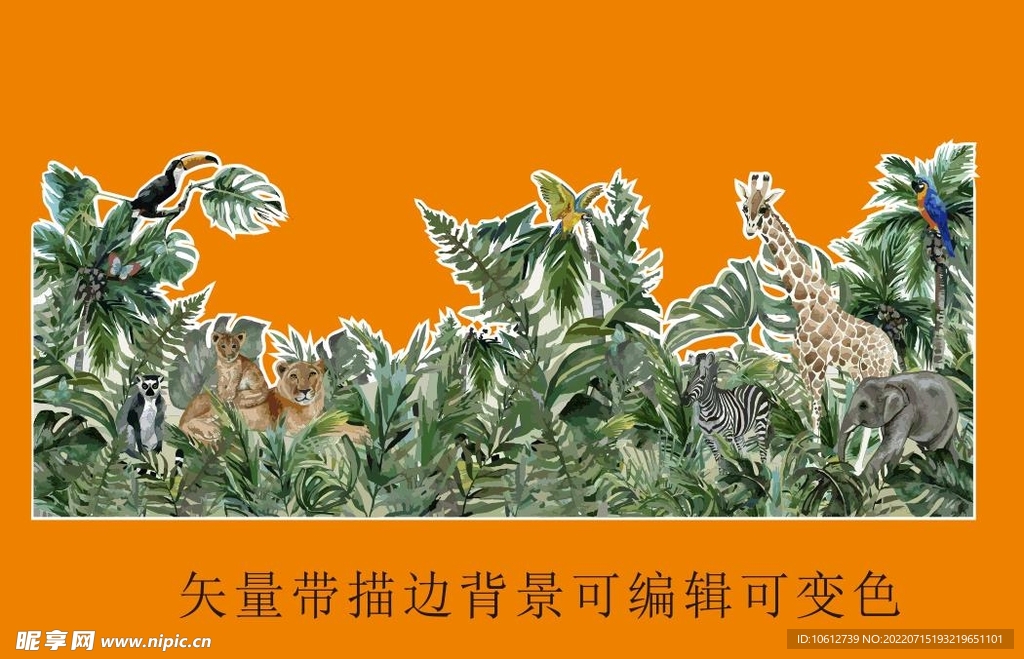 热带雨林动物森林手绘矢量图