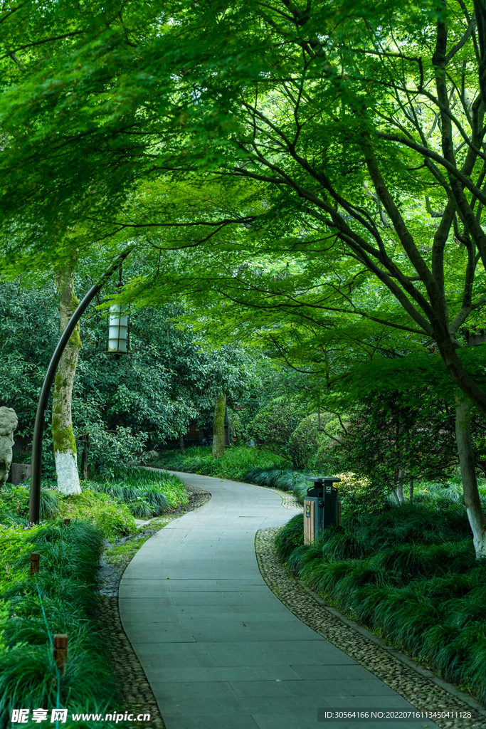 户外夏季公园公路