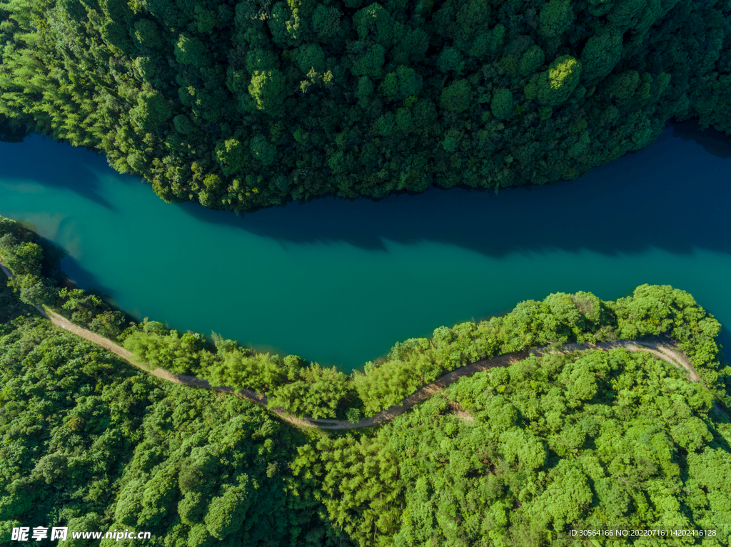 户外森林绿色山脉