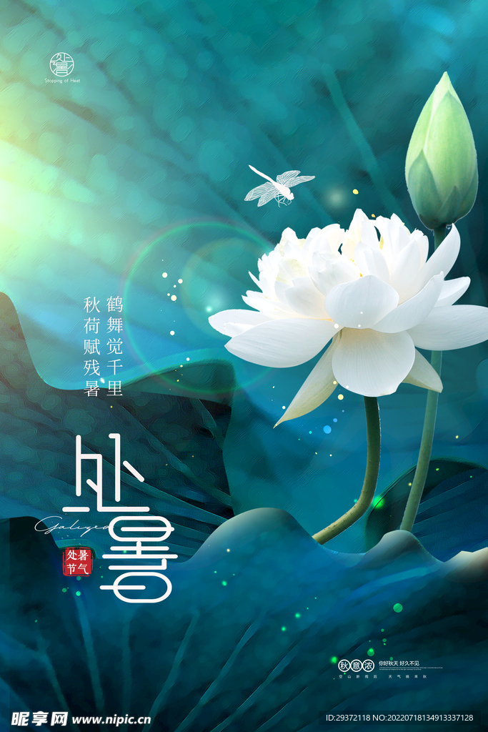 荷花意境处暑节气海报
