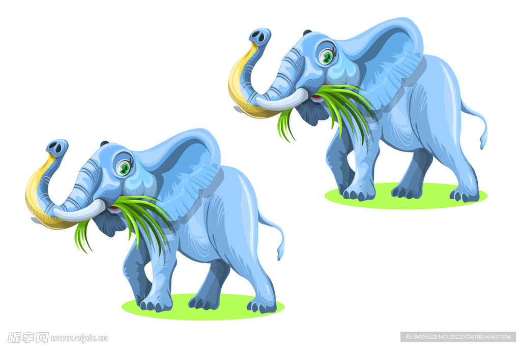蓝色象