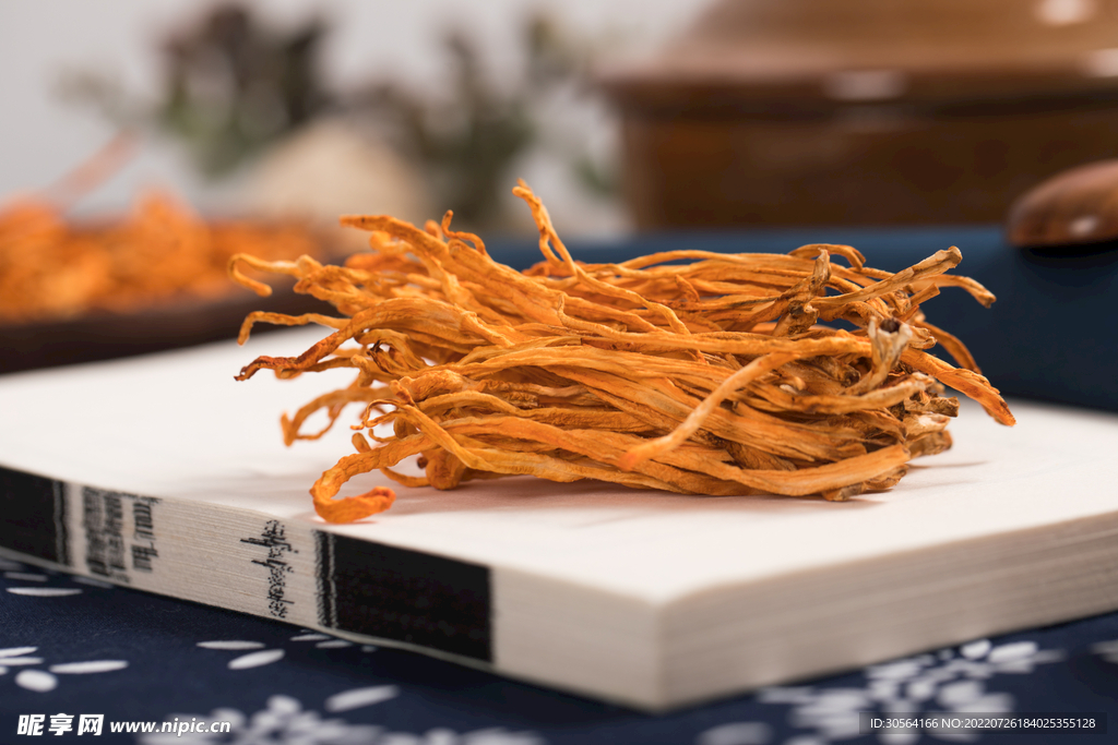 干枯茶树菇食材