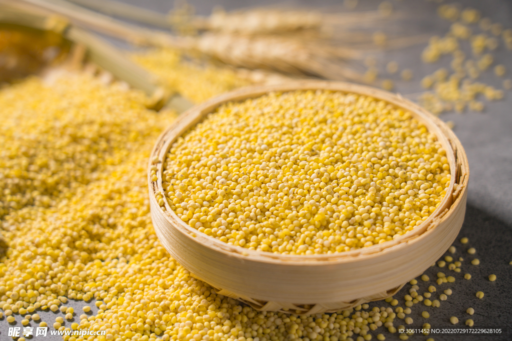 高清小米摄影图片