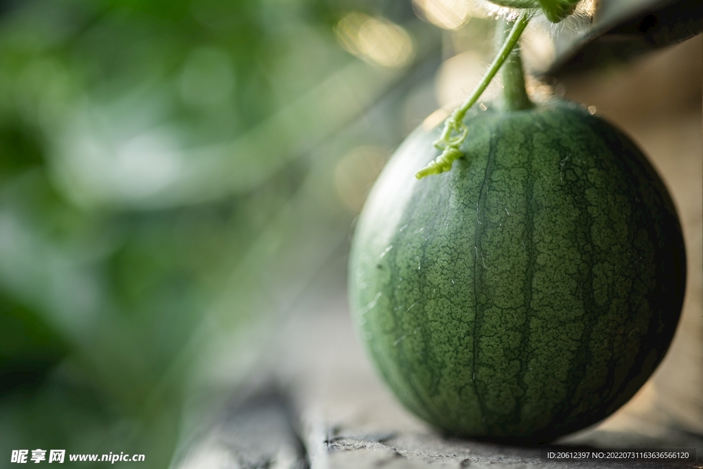 西瓜雪糕 冰淇淋 果汁 