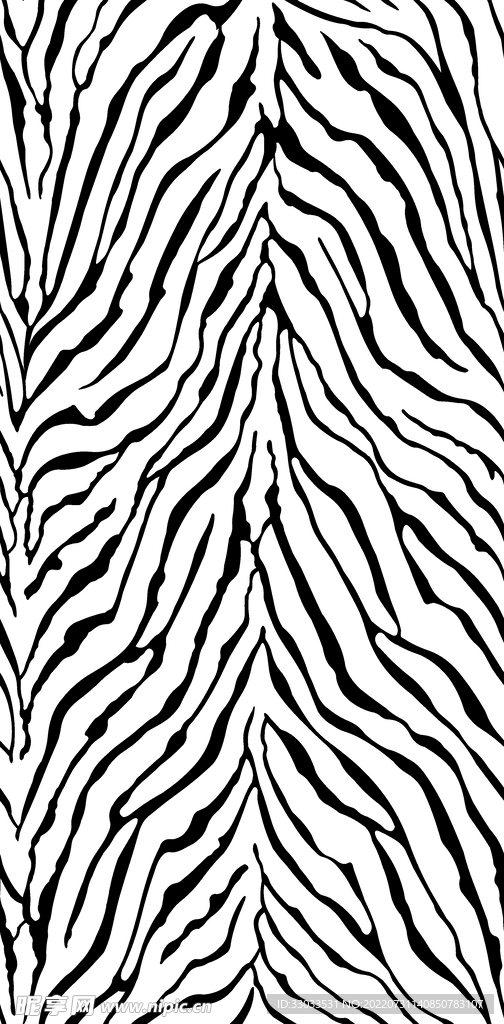 斑马纹 