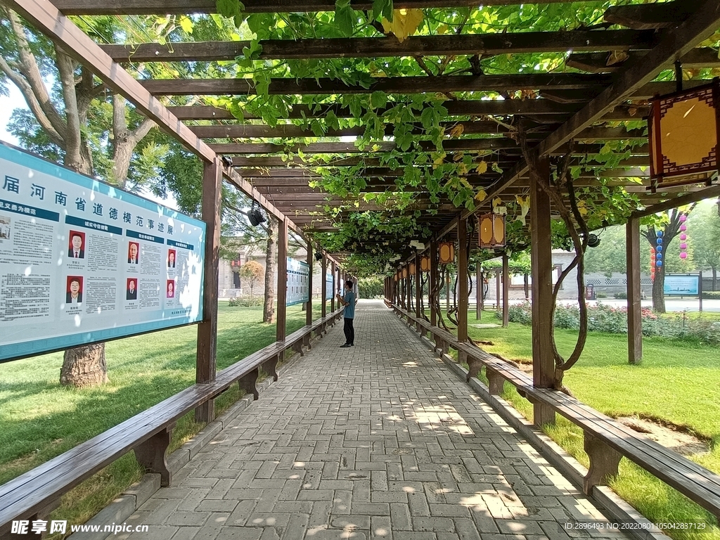 康百万庄园 300年葡萄