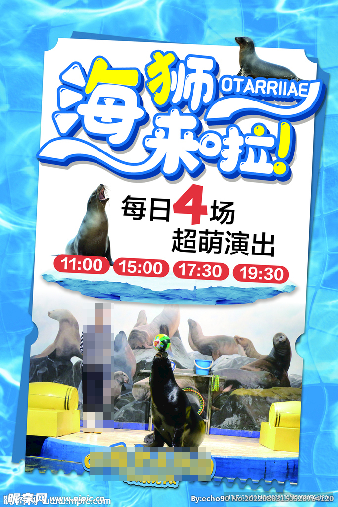 海狮来啦