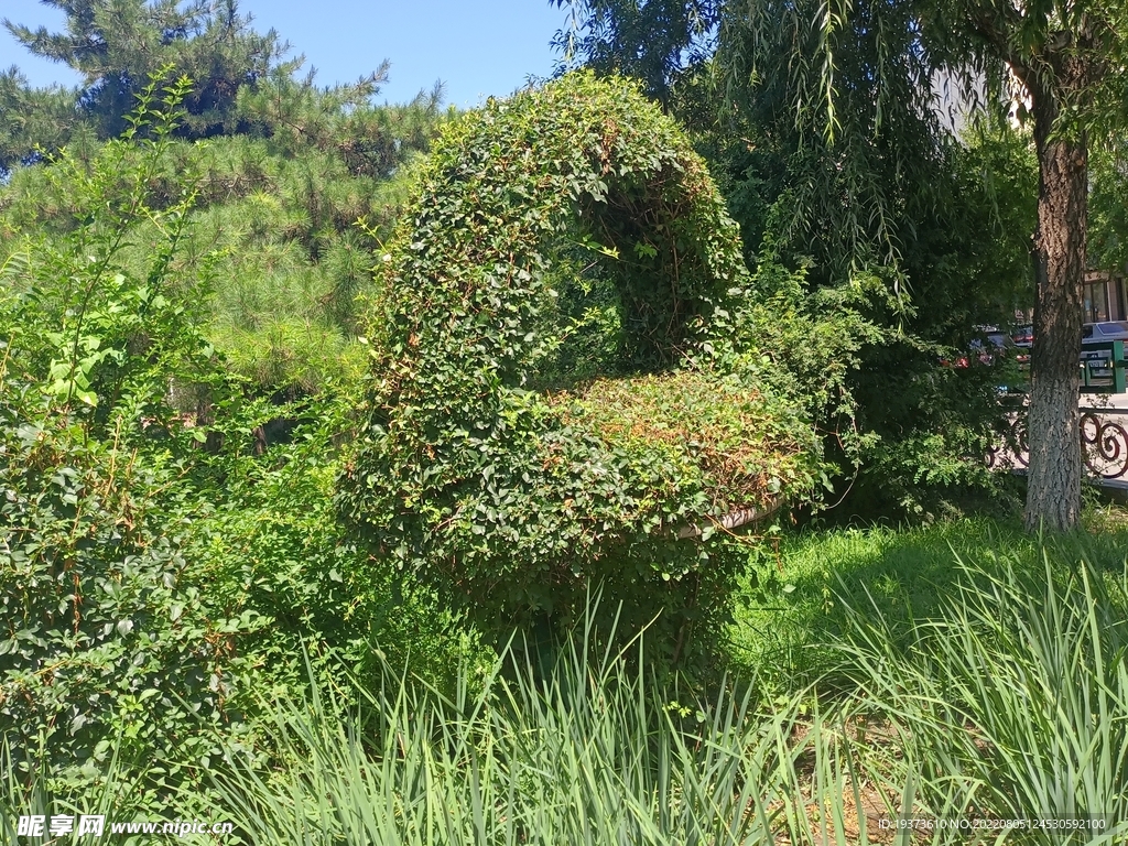 城市艺术园林花蓝树木