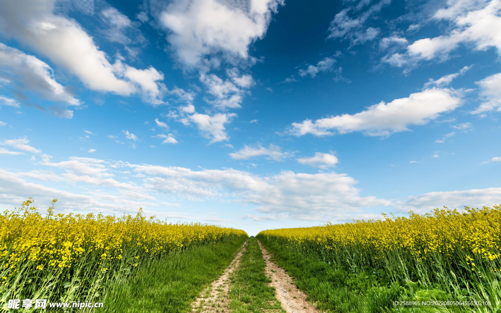 天空 蓝天 草原